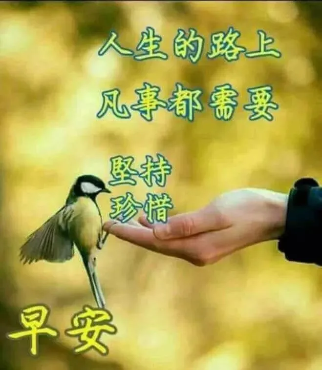 2019清晨早上好短信祝福关心的话 最美清晨问候语录图片最新版，-清晨最暖心的早安祝福语短句
