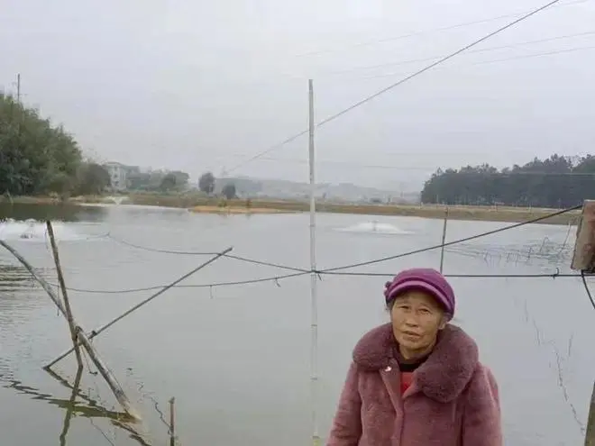 湖南农妇挖塘养鱼被控"土地犯罪"，涉案土地早...