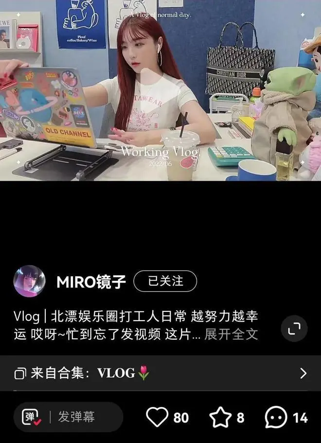 图/孙伶俐小红书vlog截图 来源/燃财经截图