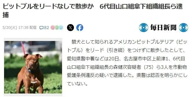 （日本媒體報道截圖）