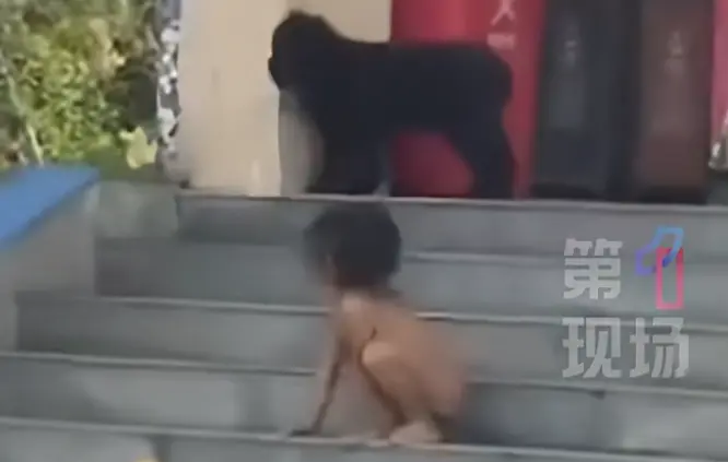 看到“野人孩子”,心里为何那么痛?