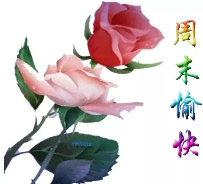 最新周末清早问候早上好图片祝福语 4月20号早上好问候祝福
