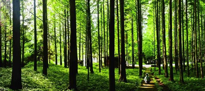 日照旅游攻略|自驾出行计划，日照必玩的景点，比吃的海鲜-日照有哪些旅游景点?