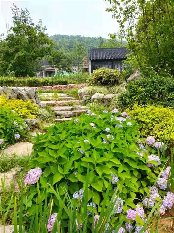 夏季漫步咸宁竹林，度过身心舒畅时光-咸宁竹子博物馆诗词