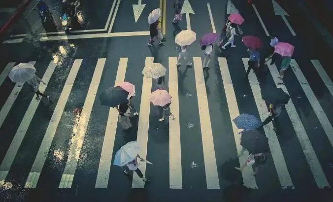 郑丽文痛批民进党:家底被掏空还在沾沾自喜