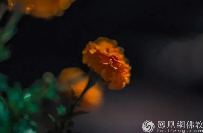 图片来源：凤凰网佛教 摄影：十愿