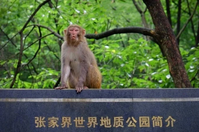仙境张家界三日游攻略-湖南张家界是一种情结-张家界三日游线路