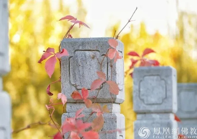 一日禅：快乐本源