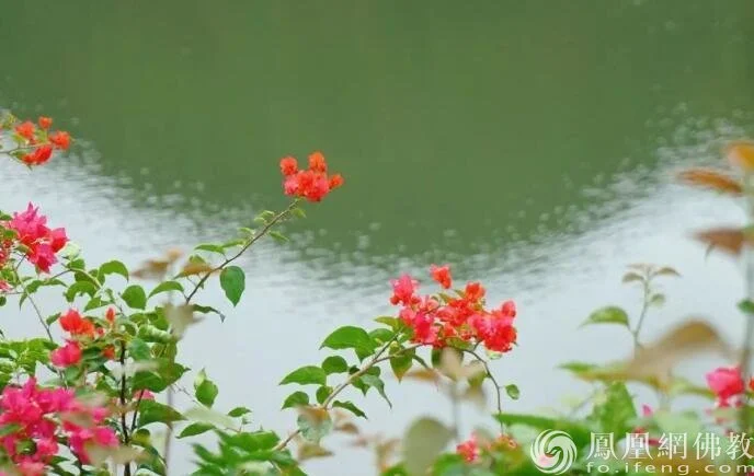 图片来源：凤凰网佛教 摄影：慧海