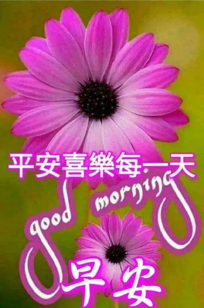 清晨问候朋友早上好的秋天暖心句子，天凉了的早安问候短信大全-秋天早上朋友间问候语