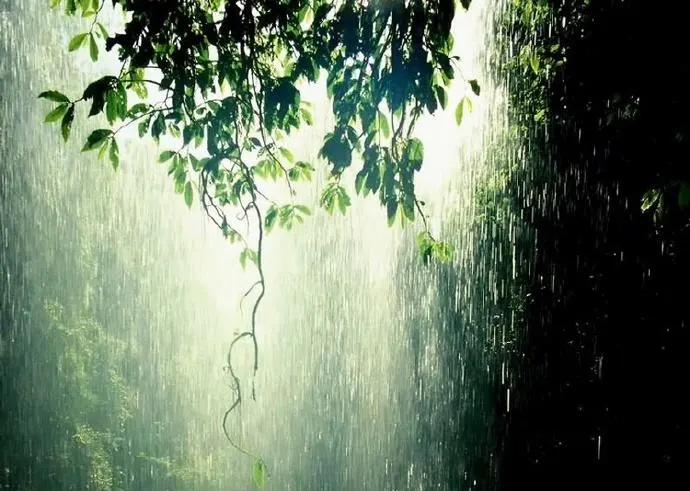 这都可以？（青草池塘处处蛙全诗）黄梅时节家家雨,青草池塘处处蛙出自哪首诗 第12张