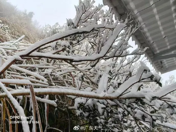 零下1度！广东结冰了