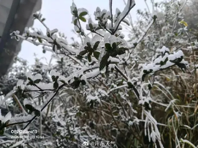 零下1度！广东结冰了