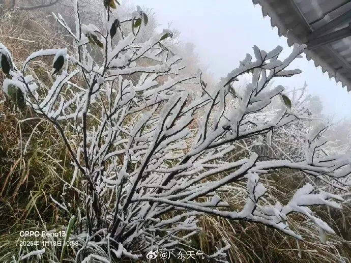 零下1度！广东结冰了