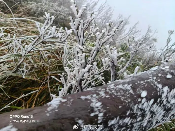 零下1度！广东结冰了