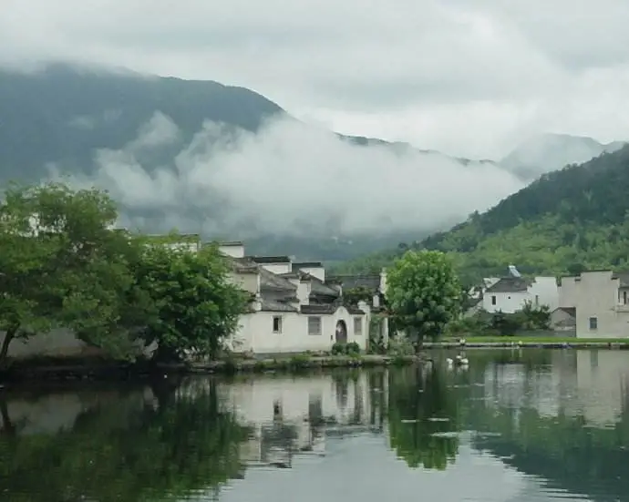 这都可以？（青草池塘处处蛙全诗）黄梅时节家家雨,青草池塘处处蛙出自哪首诗 第2张