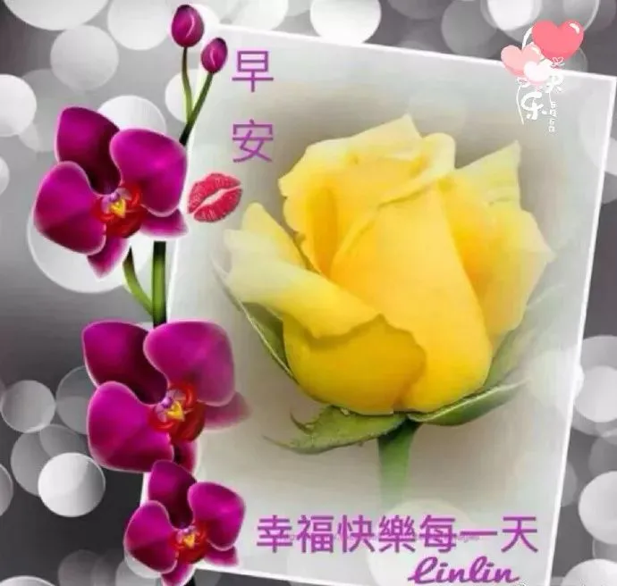 2019最新版漂亮早上好图片微信带花 最美早上好祝福图片浪漫带字-早上好花的图片带字图片动态