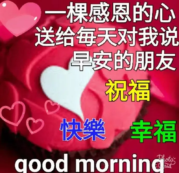 微信最新版漂亮早上好图片问候祝福语录，最美早晨好鲜花问候图片早上好动态美图-早上好微信最新图片