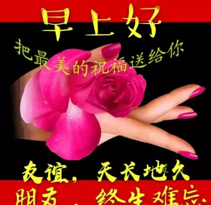 清晨问候大家早上好的早安暖心祝福句子，微信早上好问候图片带祝福语-清晨早上好问候祝福动态表情图片