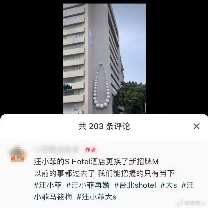 汪小菲酒店更名S招牌变为M 网友：SM你都占了