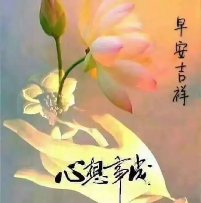 每日群发早上好温馨漂亮祝福语美图，早安带字带祝福语图-群发早上祝福语
