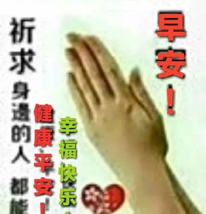最新版早上好漂亮表情问候语录大全，朋友圈问候大家早上好暖心祝福句子-早上问候语的表情图