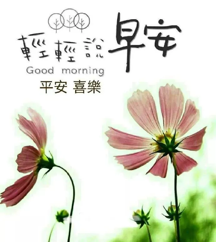 清晨问候朋友早上好的秋天暖心句子，天凉了的早安问候短信大全-秋天早上朋友间问候语