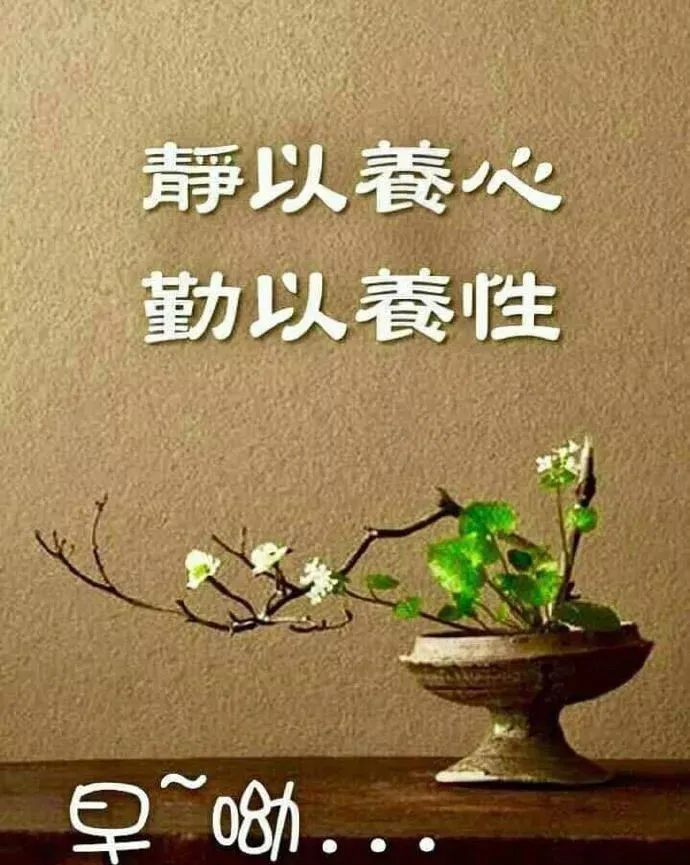 8月26日周一早上好问候语录，阳光暖心的早安问候句子-8月26号早上好