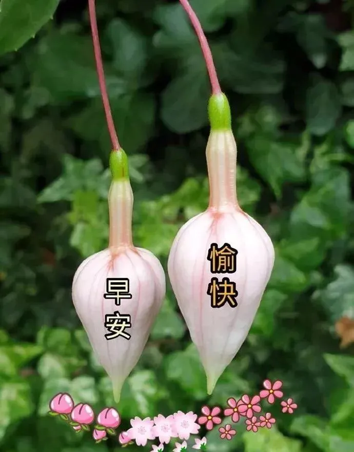 清晨问候朋友早上好的秋天暖心句子，天凉了的早安问候短信大全-秋天早上朋友间问候语