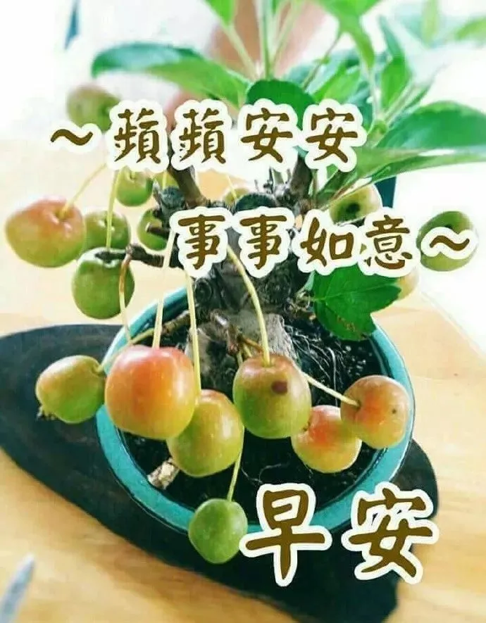 2019最新版早上好快乐祝福短信大全，早上好漂亮问候祝福语图片表情美图-早上好祝福短信、问候早安短信