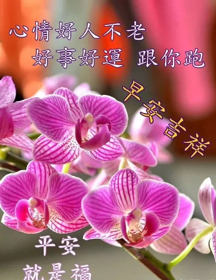 2019清晨早上好短信祝福关心的话 最美清晨问候语录图片最新版，-清晨最暖心的早安祝福语短句
