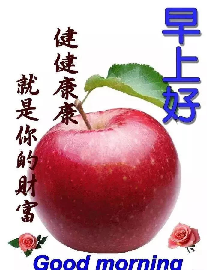 2019最新版阳光暖心早上好短信问候语录大全，朋友圈清晨问候大家早上好祝福语图片表情大全-早上好短信问候语大全19年