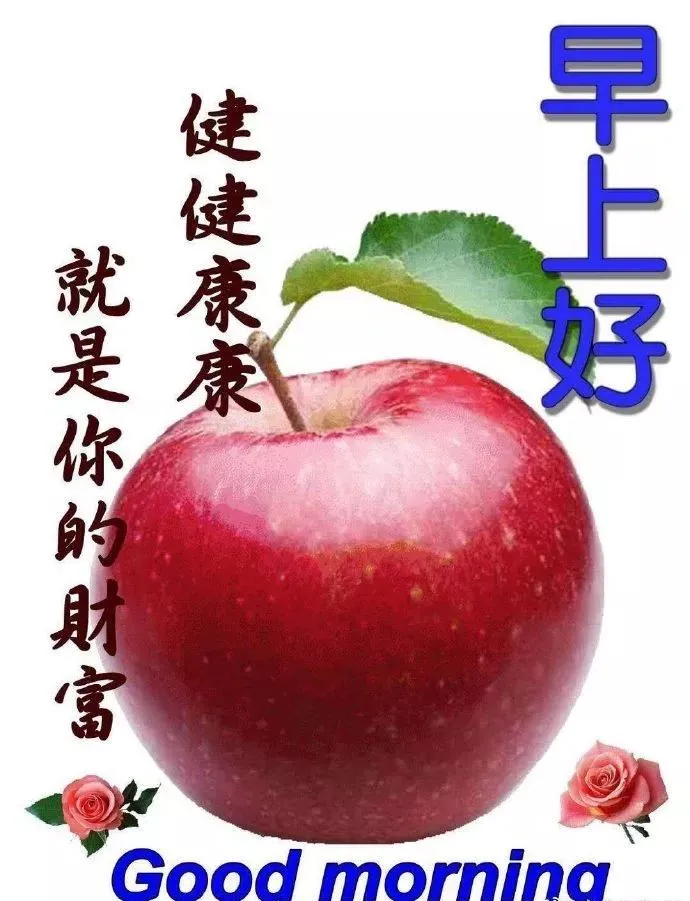 最新版早上好漂亮表情问候语录大全，朋友圈问候大家早上好暖心祝福句子-早上问候语的表情图