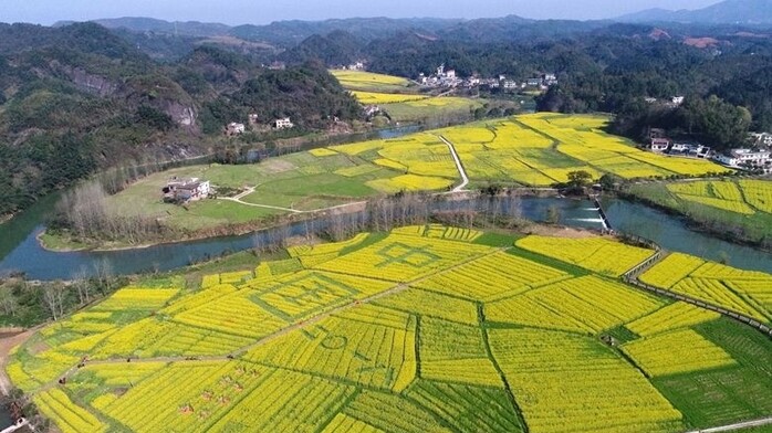 山东：多措并举保障秋粮收获