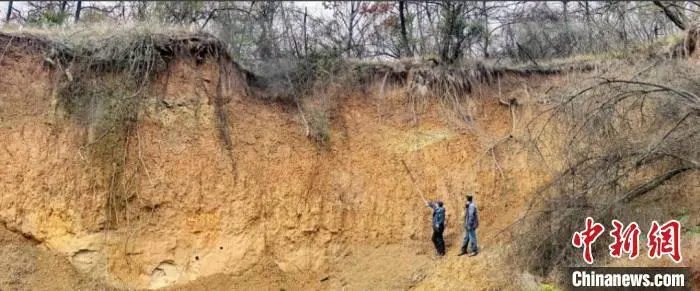 图为龙岗寺第4地点。陕西省文物局供图