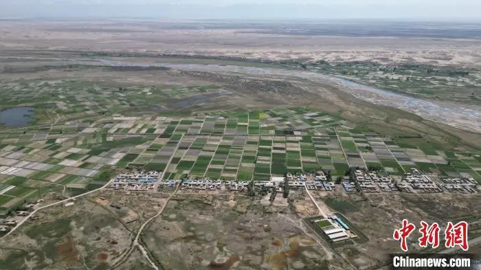图为湿地生态美景入画来（无人机图片）　戴文昌　摄