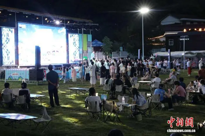 图为王家湾村草地音乐节现场。吴西檬 摄