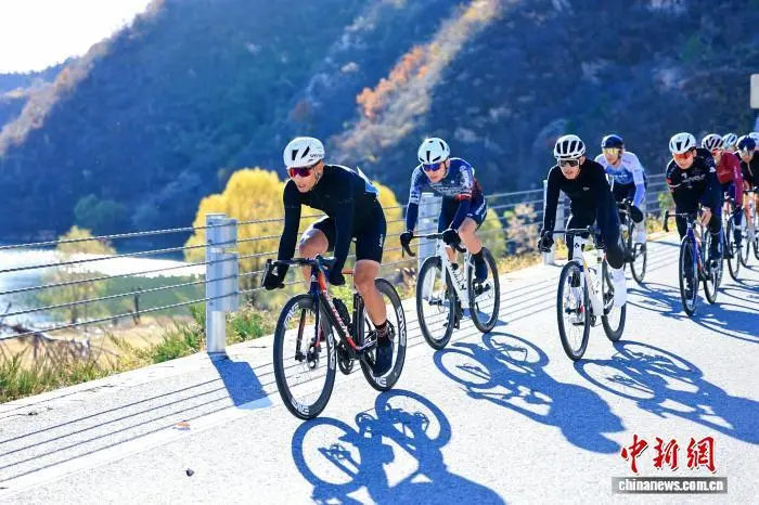 图为选手们在比赛中。赛事主办方供图