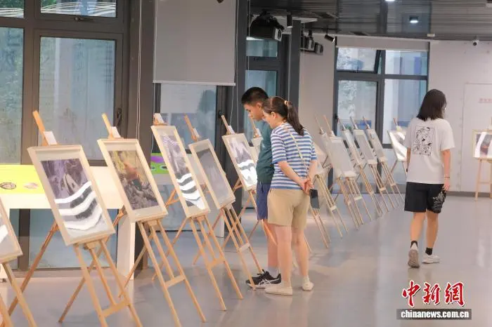 台湾画家杨恩生：用画笔“巡护”自然三十余载凤凰网宁波_凤凰网