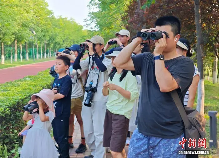 7月下旬，西安观鸟爱好者参加活动。　中新社记者 党田野 摄