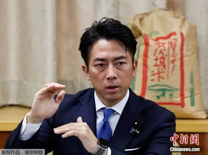 资料图:小泉进次郎。