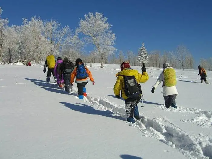 这个元旦东北雪乡游 这份攻略请收好-东北雪乡风景区在哪里