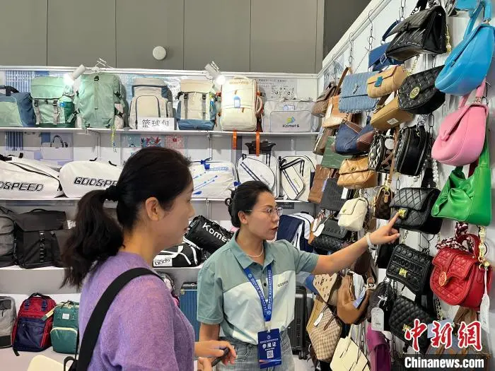 6月17日，参观者在廊坊经洽会的一家公司展位上咨询。　　董皓楠 摄
