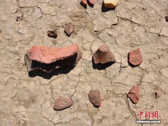 图为出土的陶器、石器及玛瑙碎片等遗物　孟燕　摄