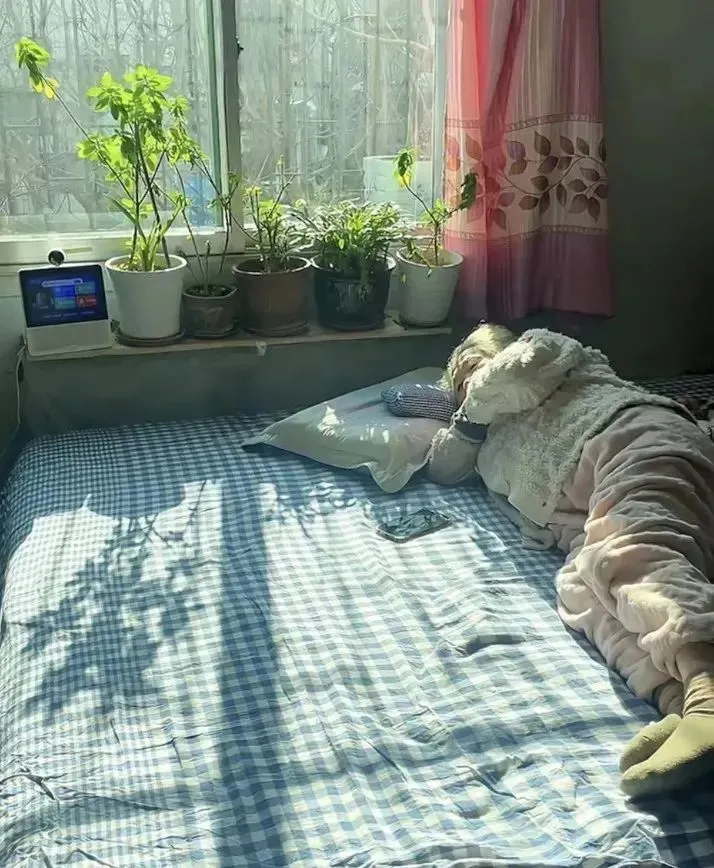 小柒覺得阿珍在午休的場景很溫暖