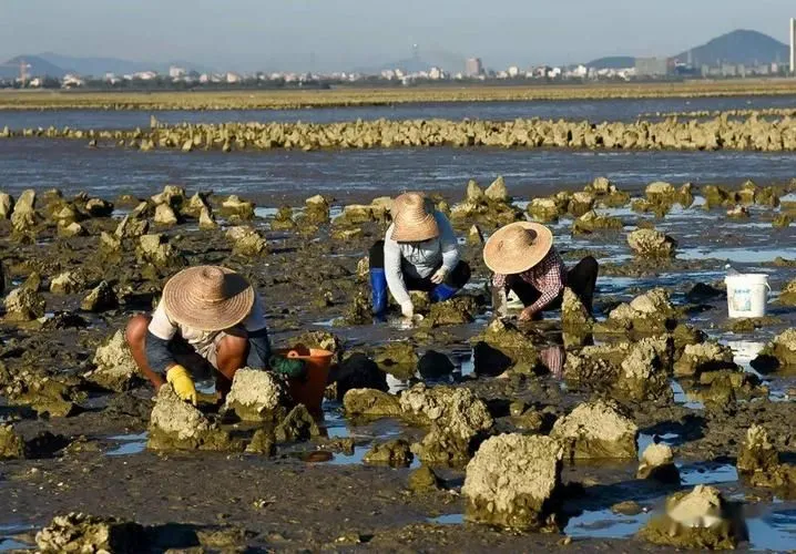 日照自由行旅游攻略，适合自驾游学生和带娃游-日照海边吃住一体的民宿