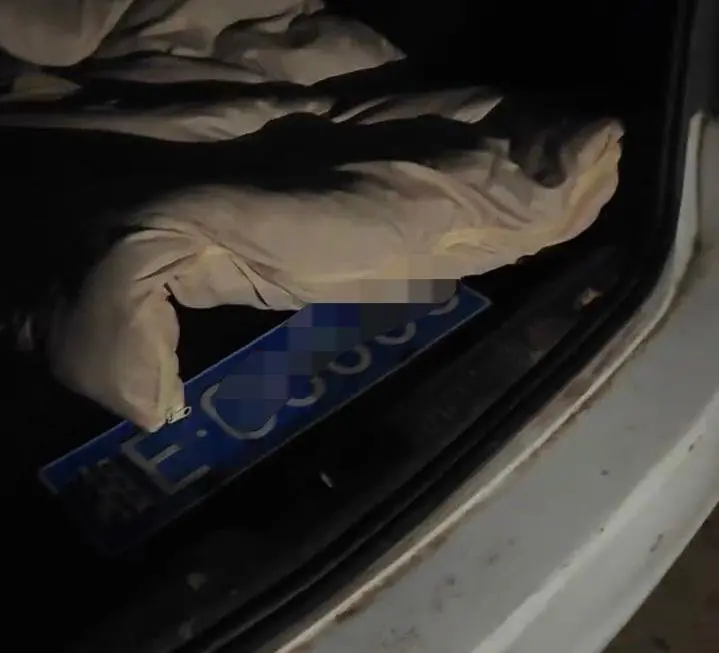 男子直播挖蛇时被毒蛇咬伤，到医院后自行离开失联