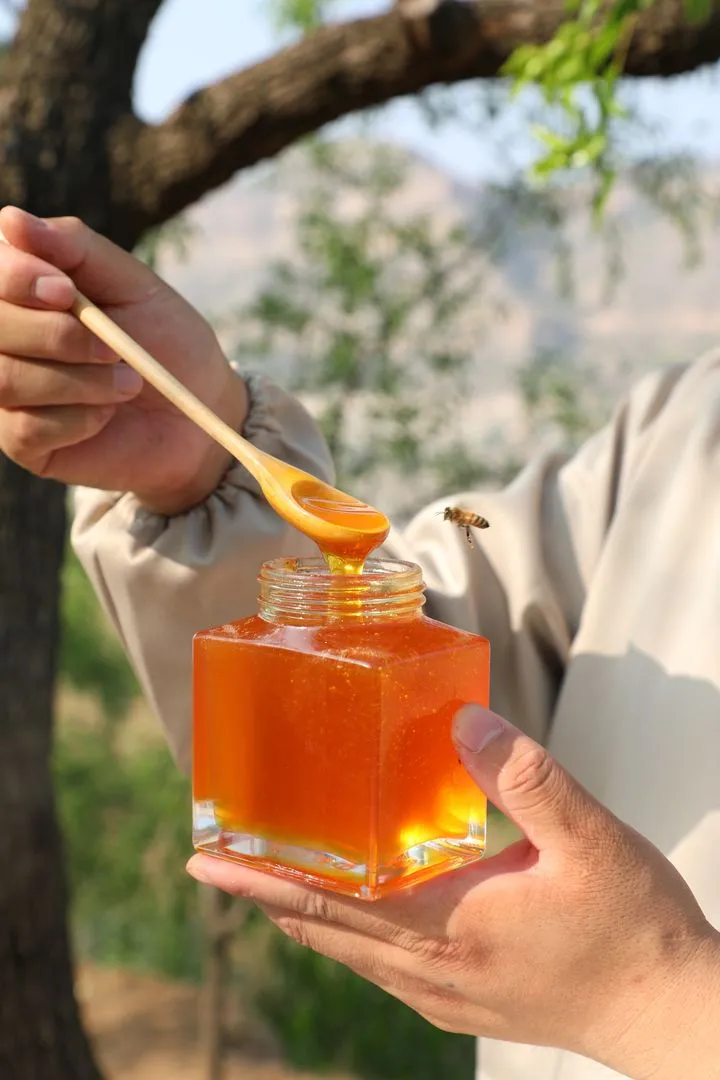 枣花蜜有什么作用与功效蜂蜜的作用与功效（洋槐蜜的作用与功效）