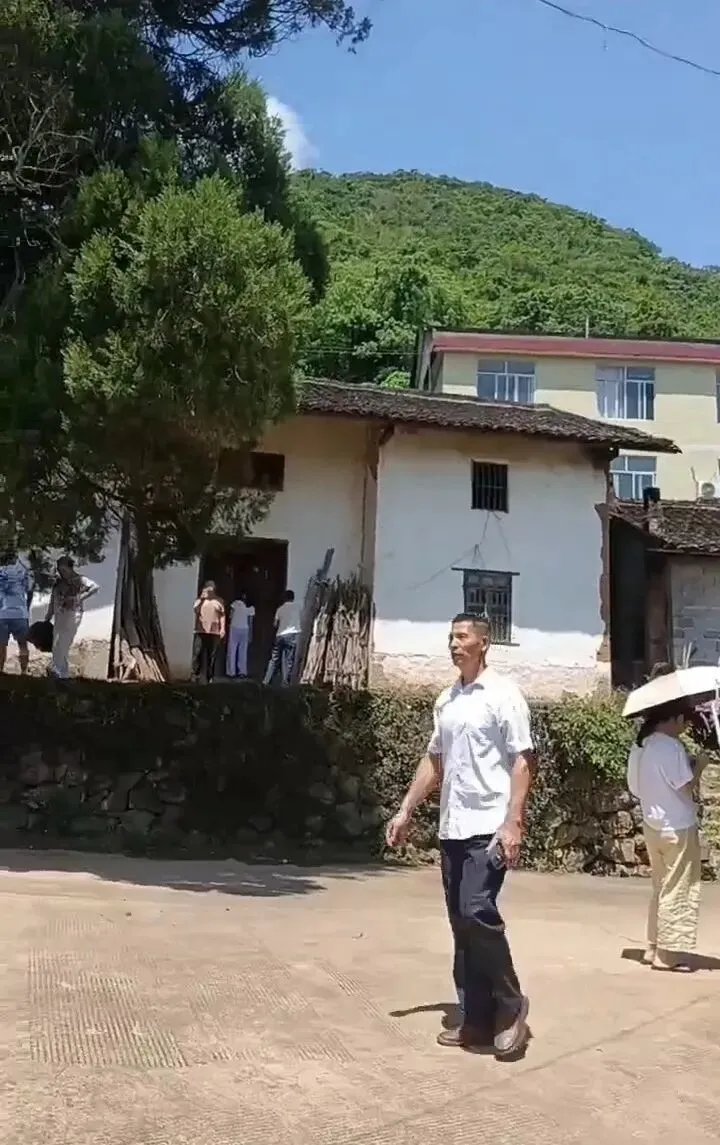 �ο͵������լ�ι� ����Ƶ��ͼ��
