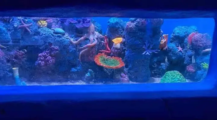 男人花起钱来有多可怕？小众品类一年卖3000多万，最高客单70万|造物者-一个男人一年赚多少钱